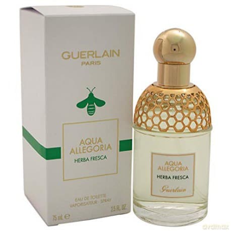 Guerlain Aqua Allegoria Herba Fresca - EDT - Volume: 75 ml for women