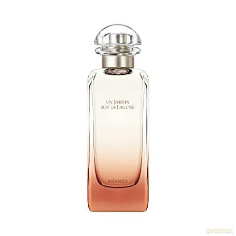 Hermes Un Jardin sur la Lagune - EDT - Volume: 100 ml for men