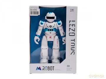 Robot na radio z akumulatorem 547612