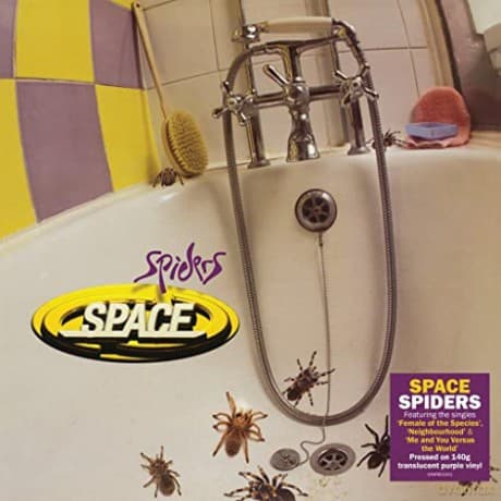 Space: Spiders (Purple)