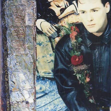 Associates: Wild And Lonely Cd Uk Circa 1990