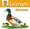 Zwierzęta domowe - karton