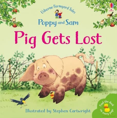 FYT MINI PIG GETS LOST (Farmyard Tales) - Heather Amery