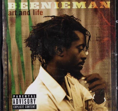 Beenie Man: Art And Life