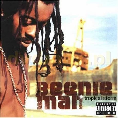 Beenie Man: Tropical Storm