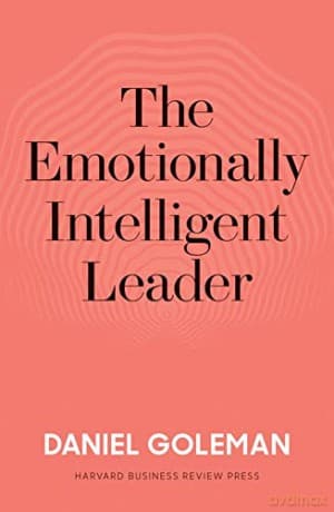 The Emotionally Intelligent Leader - Daniel Goleman