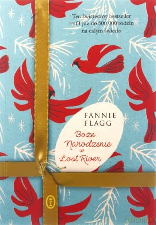 Boże Narodzenie w Lost River - Fannie Flagg