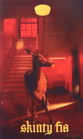 Fontaines D.C.: Skinty Fia