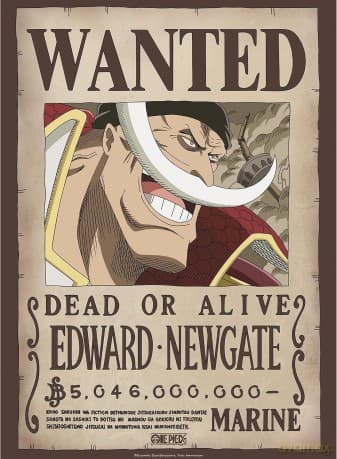 ONE PIECE - plakat Wanted Whitebeard (52x38)
