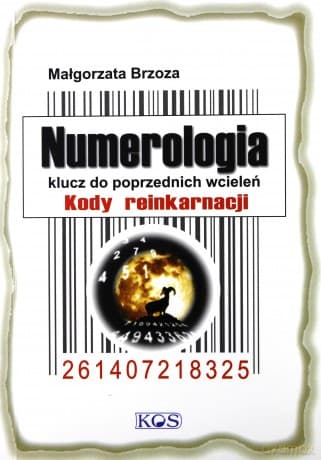 Numerologia. Klucz do poprzednich wcieleń. Kody reinkarnacji - Małgorzata Brzoza