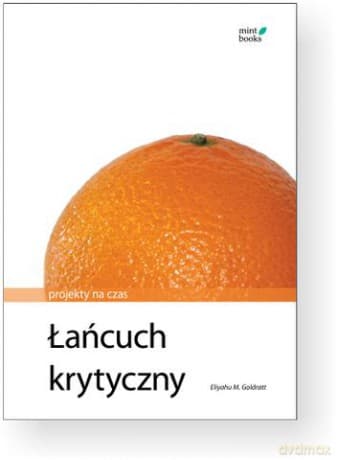 Łańcuch krytyczny