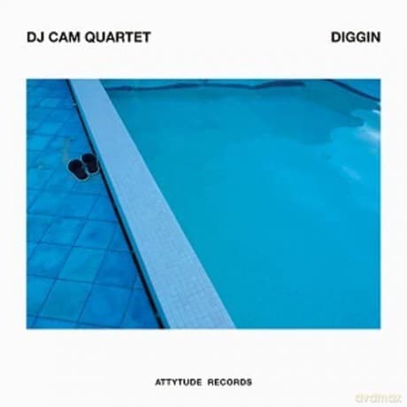 Dj Cam: Diggin