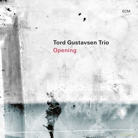Tord Gustavsen: Opening