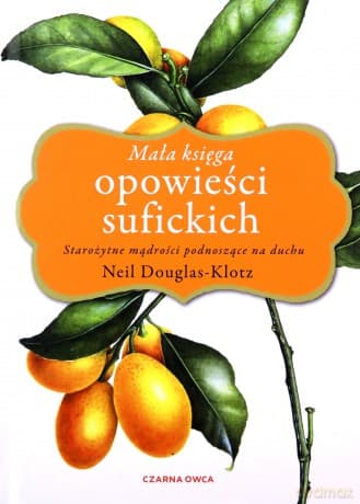 Mała księga opowieści sufickich - Neil Douglas-Klotz