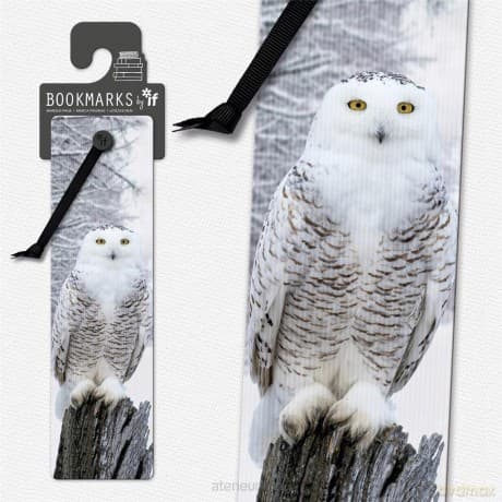 Zakładka 3D 15411 - Sowa