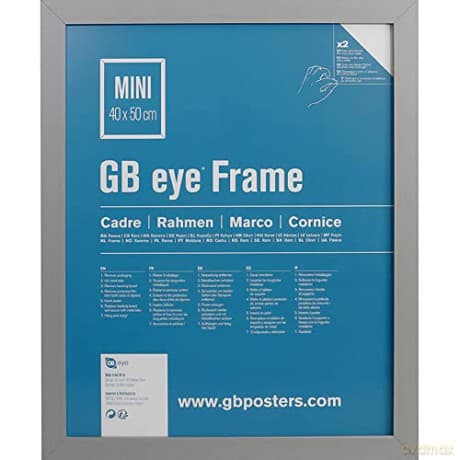GBEYE - MDF Silver Frame - Mini - 40 x 50 cm