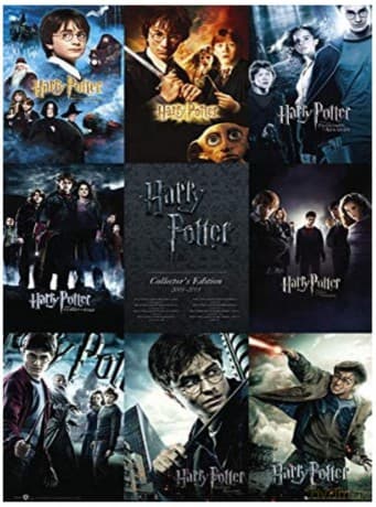 HARRY POTTER - Plakat Collection (91.5x61)