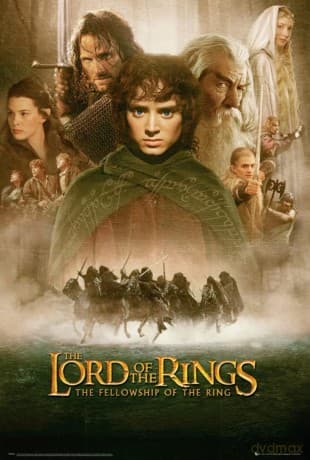 LORD OF THE RINGS - Plakat Fellowship Of The Ring (91.5x61)