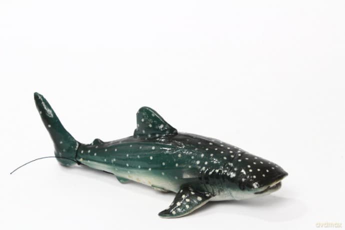 Rekin Wielorybi 21 cm 21571 15717