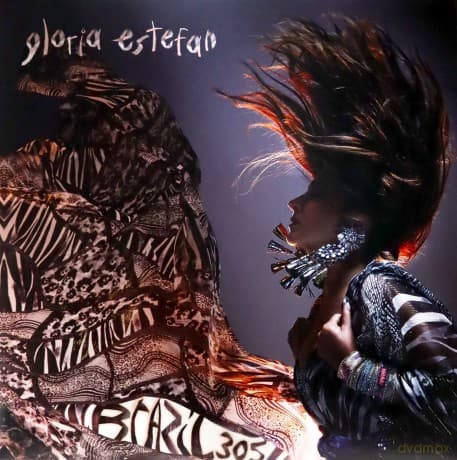 Gloria Estefan: Brazil305