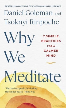Why We Meditate - Daniel Goleman, Tsoknyi Rinpoche