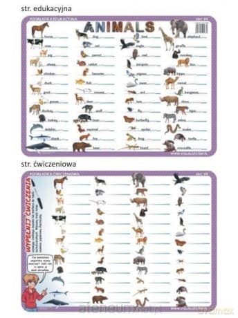 Podkładka edukacyjna 04 - Animals - język angielski