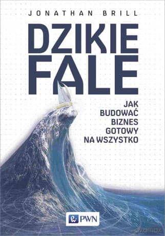 Dzikie fale. Jak budować biznes gotowy na wszystko - Jonathan Brill