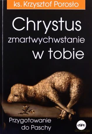 Chrystus zmartwychwstanie w tobie - Krzysztof Porosło