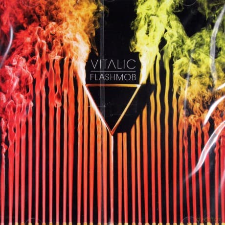 Vitalic: Flashmob