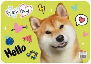 Podkład laminowany A3 My Little Friend mix