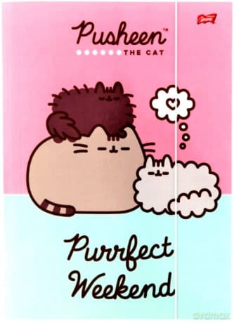 Teczka z gumką A4 PUSHEEN