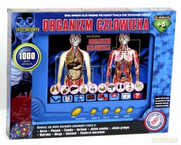 Organizm człowieka - interaktywny model płaski