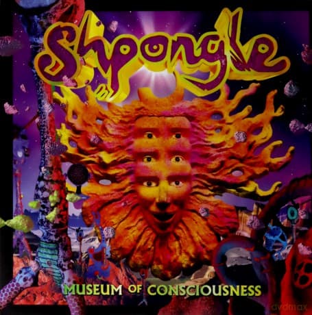 Shpongle: Museum Of Consciousness