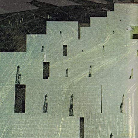 Petrels: All Things In Common