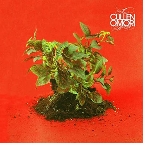Cullen Omori: New Misery