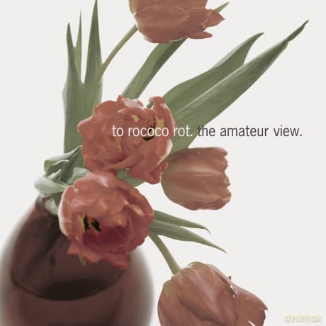 To Rococo Rot: The Amateur View