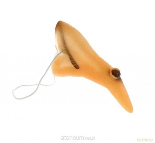 Sztuczny nos wiedźmy