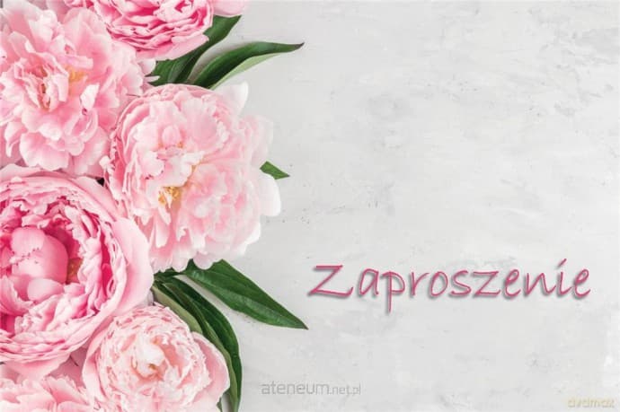 Zaproszenie Uniwersalne (10 szt)