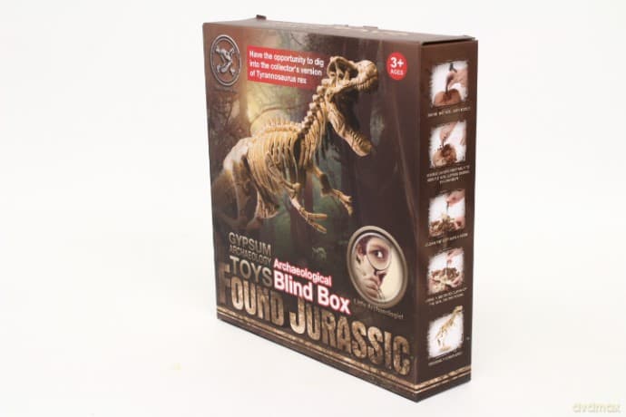 Skamielina dinozaur 1008203 82039