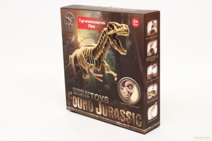 Skamielina dinozaur 1008205 82053