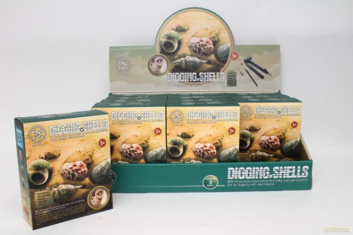 Wykopaliska zestaw muszle H13337 39658