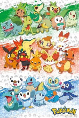 POKEMON - Poster Maxi 91.5x61 - First Partners