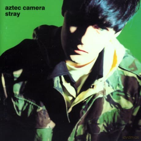 Aztec Camera: Stray