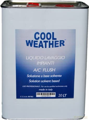 Płyn do płukania Magneti Marelli 007950024550