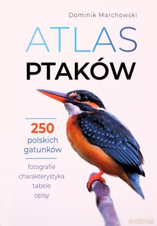 Atlas ptaków - Dominik Marchowski