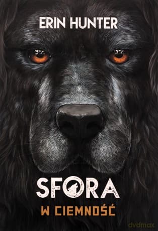 Sfora (Tom 3) W ciemność - Erin Hunter