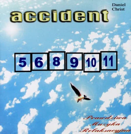 Daniel Christ: Accident