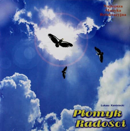 Łukasz Kaminiecki: Płomyk Radości