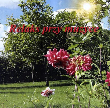 Relaks przy Muzyce - Marcin Siwiec