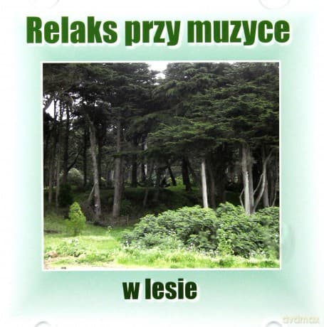 Relaks przy Muzyce w Lesie - Marcin Siwiec